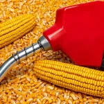 How Vietnamese Agriculture Fuels Sustainable Mobility